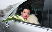 Компания "Альфа-Лимо-ВИП" объявлет о старте ежемесячного нового конкурса "лучшая свадебная фотография с лимузином" на сайте!